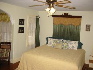 五月岬郡Thomas Webster House的一间卧室配有一张带吊扇的床