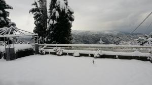 米莱艾Pacithea Villas的雪覆盖的栅栏享有山景