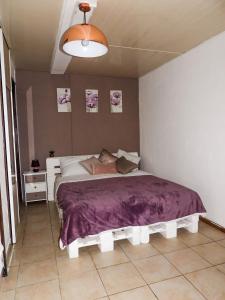 萨拉济Sur la route du Voile的一间卧室配有一张大床和紫色毯子