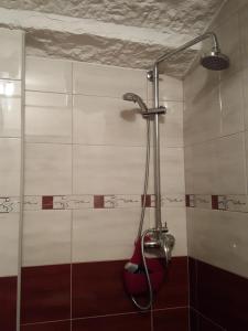 克瑞罗Apartment Astoria的浴室内配有淋浴和头顶淋浴