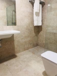 萨拉曼卡Apartamento Puente Romano Portal 4 1-B的一间带卫生间、水槽和镜子的浴室