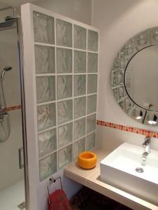 穆斯捷-圣玛丽La Maison du Courtil, Citron-Caramel的一间带水槽和镜子的浴室