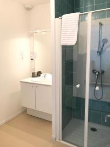 阿朗松多米提里斯花园旅馆的带淋浴和盥洗盆的浴室