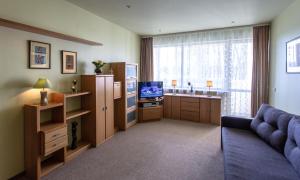 德鲁斯基宁凯格尔达公寓酒店的带沙发和电视的客厅