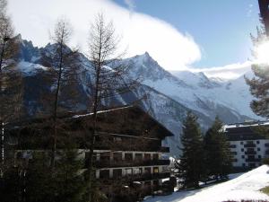 夏蒙尼-勃朗峰Studio Les Drus / Studio du Brévent的一座雪地中的建筑,背景是一座山