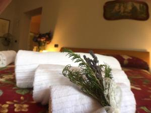 泰里乔拉Villa Pieve De' Pitti的床上的一大堆毛巾,上面有植物