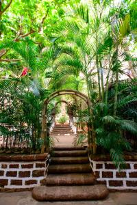 巴加Bellflower Alidia Beach Resort的棕榈树花园中的一套楼梯