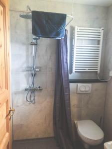 Skálafell思佳拉菲尔宾馆的带淋浴、卫生间和浴帘的浴室