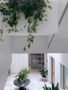 塞维利亚La casa del Lagar 10的天花板上设有桌子和植物的房间