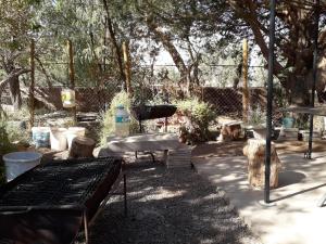 圣佩德罗·德·阿塔卡马Hostal Las Kañas的一个带烧烤架和一些树木的野餐区