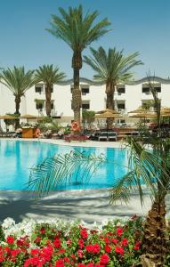埃拉特莱昂纳多埃拉特全包酒店 的棕榈树和红花度假村的游泳池