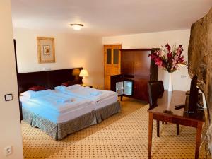 捷克克鲁姆洛夫卡帕膳食酒店的酒店客房设有一张大床和一张书桌。