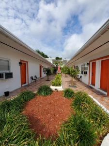 迈阿密皇家预算旅馆的庭院,带花园的房屋