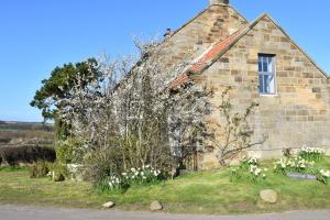 惠特比The Hayloft Cottage的一座古老的砖砌建筑,前面有白色的花