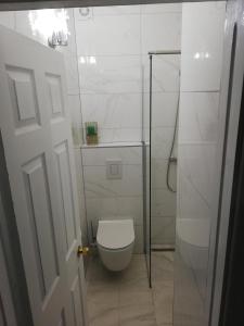 默主歌耶St Michael的一间带卫生间和玻璃淋浴间的浴室