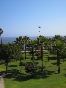 利马Miraflores Frente al Mar的一只风筝飞过棕榈树公园