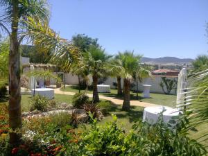 Santa Marta基卡酒店的花园种有棕榈树,设有白色桌子