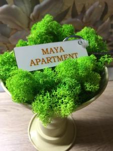 克卢日-纳波卡Maya Apartment的花瓶装满绿花,有玛雅约章
