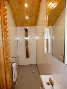 埃尔斯米尔Balmoral Studio Lodge的带淋浴和盥洗盆的浴室