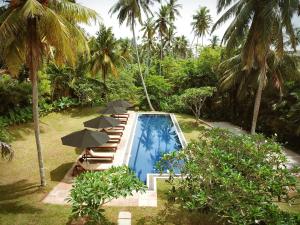 阿杭格默Abode Ahangama的毗邻度假酒店的带遮阳伞和躺椅的游泳池