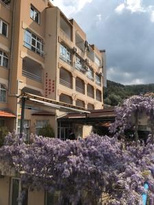 布德瓦Guesthouse Villa Gaga的一座在前面布满紫色花的建筑