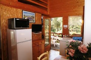 昂迪兹GITES de Plos Appart CHALET PISCINE SPA的小屋内的厨房配有冰箱和电视