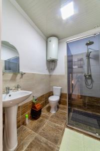 奥什TES Hotel的浴室配有卫生间、盥洗盆和淋浴。