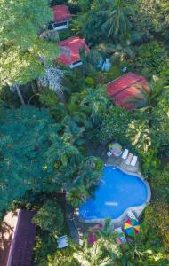 卡维塔Cabinas Iguana Cahuita的享有带游泳池的度假村的顶部景致