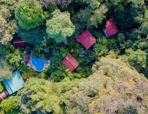 卡维塔Cabinas Iguana Cahuita的享有森林的顶部景色,森林中拥有房屋和树木
