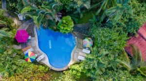 卡维塔Cabinas Iguana Cahuita的享有带遮阳伞和椅子的游泳池的顶部景致