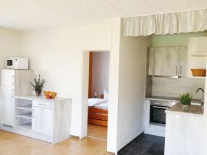 Spacious Apartment in Bollendorf in Nature Park的厨房或小厨房