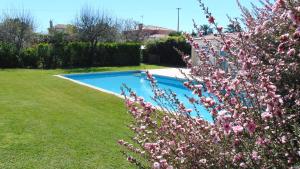 LandimCasa Landim的一座游泳池,位于一个拥有粉红色花卉的庭院内