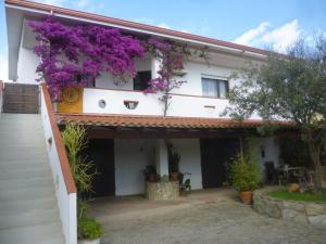 圣阿纳阿雷西House in the most southern point of the island, completely fenced super price.的花朵花房的一侧