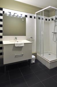 巴约讷塔普昂斯丹斯堡酒店的带淋浴、盥洗盆和卫生间的浴室