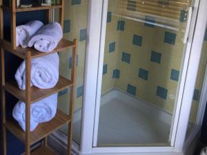 伊斯特布恩蓝布酒店的浴室位于架子上,毗邻淋浴,配有毛巾。