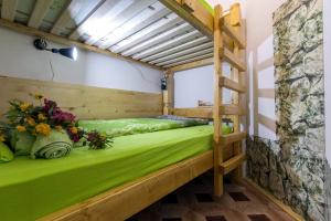 苏博蒂察Hostel Put Svile的配有绿色床的客房内的双层床