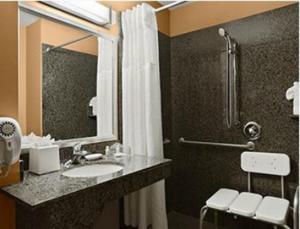 斯科茨北斯科茨空中花园假日酒店的一间带水槽和淋浴的浴室
