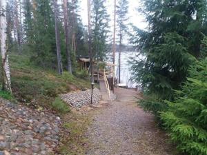 SulkavaHoliday Home Käkiharju by Interhome的一条穿过森林的木结构路径