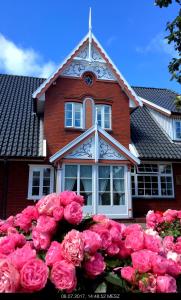 Utersum克努森旅馆的一大束粉红色玫瑰在房子前面