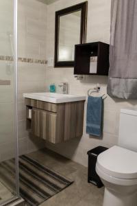 楚梅布Haus Mopanie的一间带水槽、卫生间和镜子的浴室