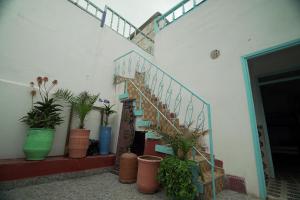 索维拉蓝白旅舍的一座建筑旁的楼梯,有盆栽植物