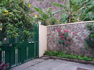 EscabeçadaRibeira Grande Country House的石墙上带花的绿色门