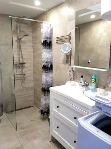 莫甘Luxury 2 bedroom APT 50 m from beach的浴室配有白色水槽和淋浴。