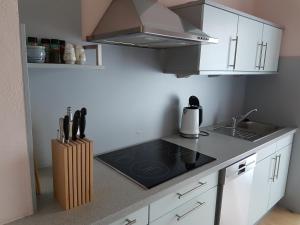 彭茨贝格Doris & Michael的厨房配有水槽和炉灶 顶部烤箱
