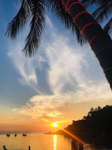 涛岛宝通海滩度假酒店的棕榈树海滩上的日落