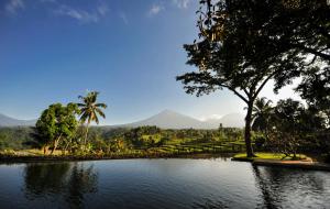 外南梦Ijen Resort and Villas - The Hidden Paradise的相册照片