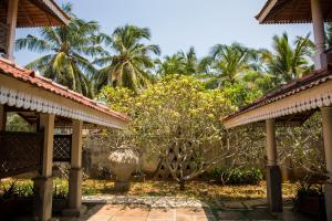 尼甘布阿拉利亚别墅酒店的棕榈树房子的庭院