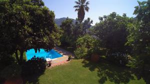 曼泰加什卡萨达斯奥布拉斯酒店的树木繁茂的庭院中的一个游泳池