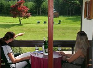 施特罗布尔Hotel Garni Pension zur Wacht的两个女人坐在一张桌子上,看着窗外