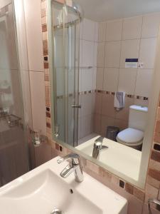 皮斯索里山景公寓式酒店的一间带水槽、镜子和卫生间的浴室